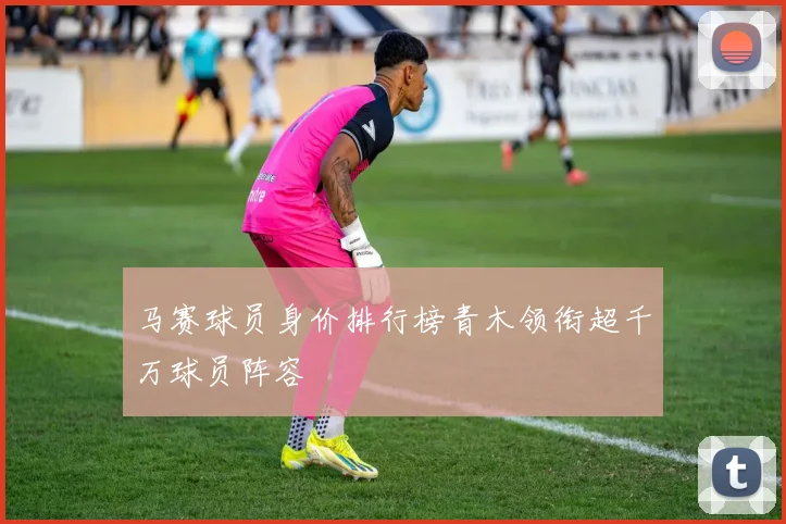 马赛球员身价排行榜青木领衔超千万球员阵容